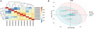 Identification of Pathways and Key Genes in Venous Remodeling After Arteriovenous Fistula by Bioinformatics Analysis